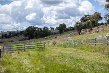 Farm Auction - NSW - Baldersleigh - 2365 - "Amalinda" - A Well Developed Grazing Proposition  (Image 2)