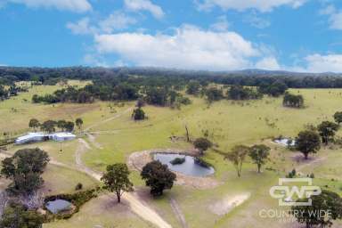 Farm For Sale - NSW - Torrington - 2371 - "Tungsten" Rural Property with Abundant Amenities  (Image 2)