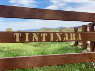 Farm For Sale - NSW - Braidwood - 2622 - "Tintinara"  (Image 2)