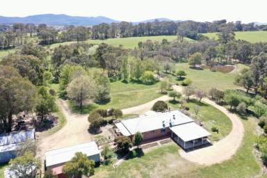 Farm For Sale - NSW - Braidwood - 2622 - "Tintinara"  (Image 2)