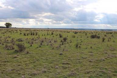 Farm For Sale - NSW - Trundle - 2875 - Mogong Valley - Being offered for the first time in close to 100 years.  (Image 2)