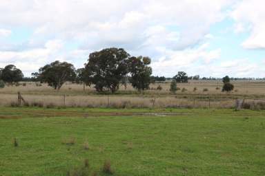 Farm For Sale - NSW - Trundle - 2875 - Mogong Valley - Being offered for the first time in close to 100 years.  (Image 2)