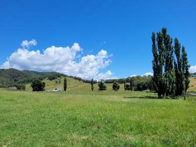 Farm For Sale - NSW - Neringla - 2622 - 472 Neringla Road, Neringla  (Image 2)