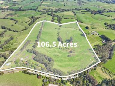 Farm For Sale - VIC - Mirboo - 3871 - Expansive 106.5 Acres Near Mirboo North  (Image 2)