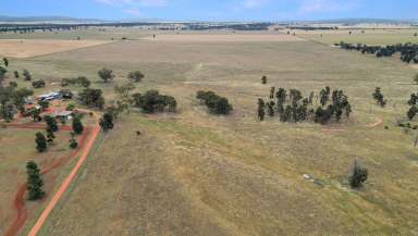 Farm For Sale - NSW - Tallimba - 2669 - Productive Mixed Farming  (Image 2)