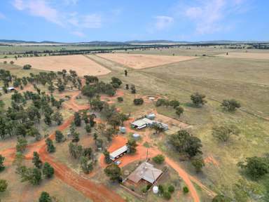 Farm For Sale - NSW - Tallimba - 2669 - Productive Mixed Farming  (Image 2)