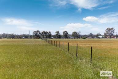 Farm For Sale - VIC - Woodvale - 3556 - Deceased Estate – 85.19 Ha / 210.5 Ac As A Whole Or In Two Lots - Cropping and Grazing  (Image 2)