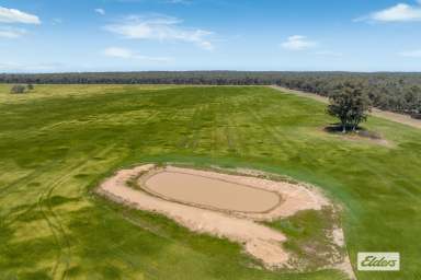 Farm For Sale - VIC - Newbridge - 3551 - Approx 310 Hectares / 766.7 Acres - Cropping and Grazing  (Image 2)