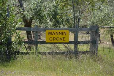 Farm For Sale - NSW - Coonabarabran - 2357 - "Mannin Grove" - Olives and Lifestyle  (Image 2)