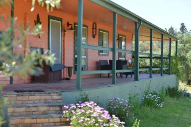 Farm For Sale - NSW - Coonabarabran - 2357 - "Mannin Grove" - Olives and Lifestyle  (Image 2)