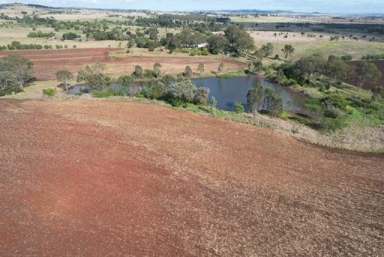 Farm For Sale - QLD - Wondai - 4606 - PRIME LOCATION - 138 ACRES WITH WATER  (Image 2)