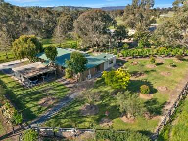 Farm Sold - VIC - Whiteheads Creek - 3660 - Elite Thoroughbred Training Complex - A Premier Equine Haven  (Image 2)