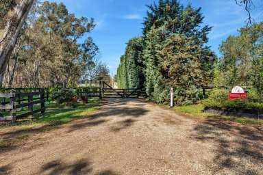 Farm For Sale - VIC - Whiteheads Creek - 3660 - Elite Thoroughbred Training Complex - A Premier Equine Haven  (Image 2)