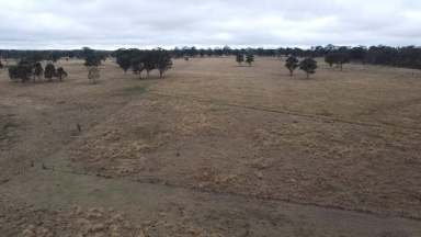 Farm For Sale - QLD - Moffadale - 4605 - 129 ACRES GOOD SOIL, BORE, CREEK-GREAT STARTER PADDOCK  (Image 2)