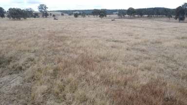 Farm For Sale - QLD - Moffadale - 4605 - 129 ACRES GOOD SOIL, BORE, CREEK-GREAT STARTER PADDOCK  (Image 2)