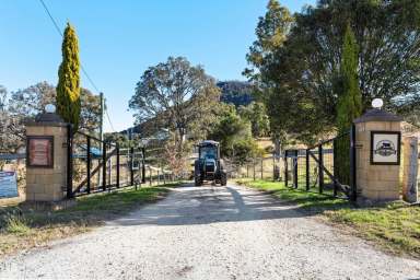 Farm Auction - QLD - Yangan - 4371 - "SKYVIEW" - EVER CHANGING TAPESTRY OF SEASONS  (Image 2)