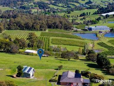 Farm For Sale - TAS - Hillwood - 7252 - Vacant Land in Hillwood on 2 Acres  (Image 2)