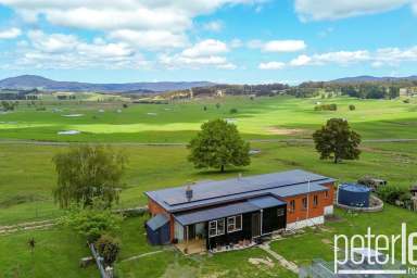 Farm For Sale - TAS - Tunnel - 7254 - Escape to the Country  (Image 2)