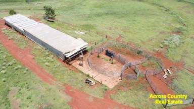 Farm For Sale - QLD - Mount McEuen - 4606 - Sheltered Red Soil Grazing   (Image 2)