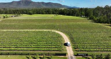 Farm For Sale - NSW - Broke - 2330 - 'Greenway' - A Rare Opportunity to Purchase an Established Boutique Cellar Door, Weekender or Hobby Farm  (Image 2)