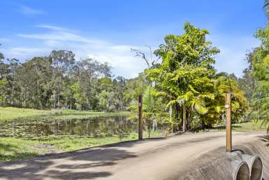 Farm For Sale - QLD - Kandanga - 4570 - Noosa Hinterland Retreat: Nature & Comfort Combined  (Image 2)