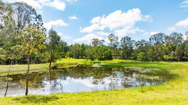 Farm For Sale - QLD - Kandanga - 4570 - Noosa Hinterland Retreat: Nature & Comfort Combined  (Image 2)