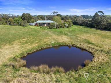 Farm For Sale - VIC - Foster - 3960 - NESTLED BY THE RAIL TRAIL  (Image 2)