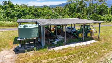 Farm For Sale - QLD - Aloomba - 4871 - Sugar Cane Farm - Mulgrave Valley - 145 Acres Farm Land  (Image 2)