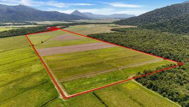 Farm For Sale - QLD - Aloomba - 4871 - Sugar Cane Farm - Mulgrave Valley - 145 Acres Farm Land  (Image 2)