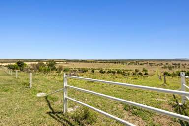 Farm Sold - QLD - Highland Plains - 4401 - Sold Off Market  (Image 2)