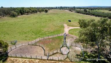 Farm For Sale - WA - Muchea - 6501 - Think Of The Future! Prime Location, close to City!  (Image 2)