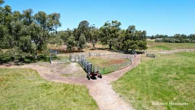 Farm For Sale - WA - Muchea - 6501 - Think Of The Future! Prime Location, close to City!  (Image 2)