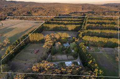 Farm For Sale - NSW - Carrington Falls - 2577 - Exceptional Equestrian Facilities and Serene Lifestyle Retreat  (Image 2)