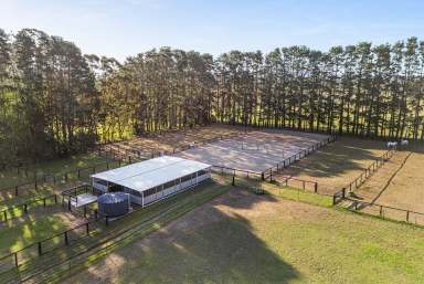 Farm For Sale - NSW - Carrington Falls - 2577 - Excellent equine facilities and tranquil lifestyle options  (Image 2)