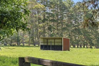 Farm For Sale - NSW - Carrington Falls - 2577 - Excellent equine facilities and tranquil lifestyle options  (Image 2)