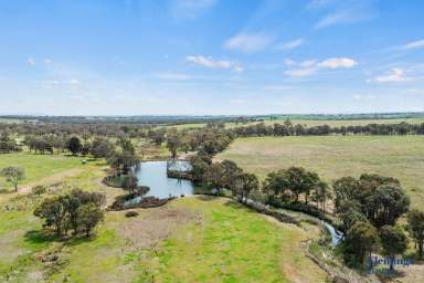 Farm For Sale - NSW - Monteagle - 2594 - VERSATILE RURAL HOLDING. PRIME LOCATION.  (Image 2)