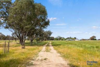 Farm For Sale - NSW - Monteagle - 2594 - VERSATILE RURAL HOLDING. PRIME LOCATION.  (Image 2)