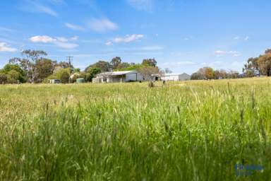 Farm For Sale - NSW - Monteagle - 2594 - VERSATILE RURAL HOLDING. PRIME LOCATION.  (Image 2)