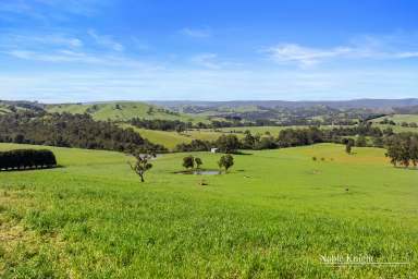 Farm For Sale - VIC - Glenburn - 3717 - "Glenbrook" Yea River Frontage
76.89 Hectares ~ 190 Acres Approx Plus River Lease  (Image 2)