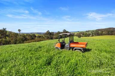 Farm For Sale - VIC - Glenburn - 3717 - "Glenbrook" Yea River Frontage
76.89 Hectares ~ 190 Acres Approx Plus River Lease  (Image 2)