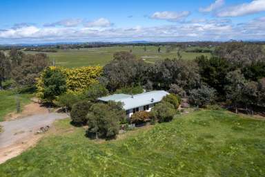 Farm Auction - NSW - Murrumbateman - 2582 - "Kallenia" The Grazing Property  (Image 2)