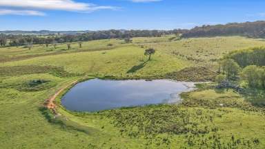 Farm For Sale - NSW - Hobbys Yards - 2795 - Embrace Rural Living!  (Image 2)