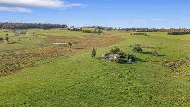 Farm For Sale - NSW - Hobbys Yards - 2795 - Embrace Rural Living!  (Image 2)