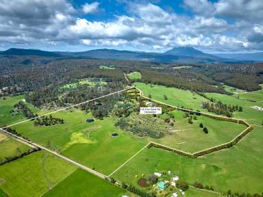 Farm For Sale - TAS - Osmaston - 7303 - Luxurious 5 Bedroom Farmlet  (Image 2)