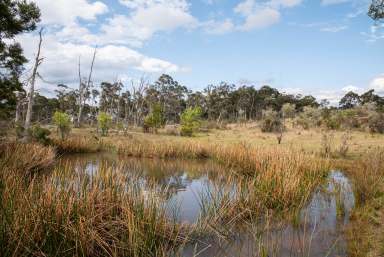 Farm Auction - NSW - Goulburn - 2580 - Embrace Tranquility on 100 Acres!  (Image 2)