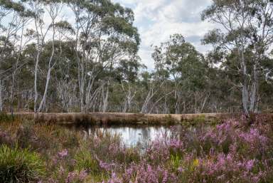 Farm Auction - NSW - Goulburn - 2580 - Embrace Tranquility on 100 Acres!  (Image 2)