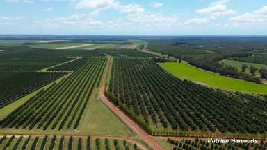 Farm For Sale - QLD - Redridge - 4660 - Substantial Mixed Farming Operation  (Image 2)