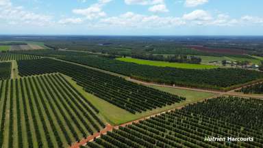 Farm For Sale - QLD - Redridge - 4660 - Substantial Mixed Farming Operation  (Image 2)