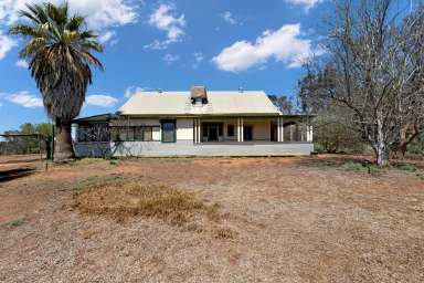 Farm For Sale - VIC - Yelta - 3505 - Renovate or rebuild...the choice is yours!  (Image 2)