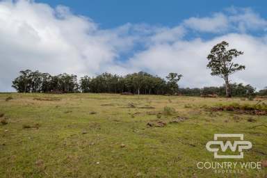 Farm For Sale - NSW - Torrington - 2371 - Lifestyle With Building Entitlement  (Image 2)